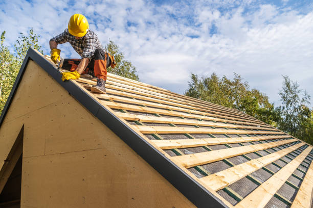 Best Roof Gutter Cleaning  in Lexington, VA