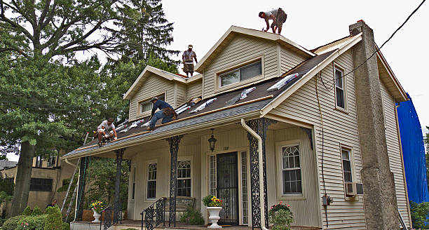 Best Roof Repair Services  in Lexington, VA